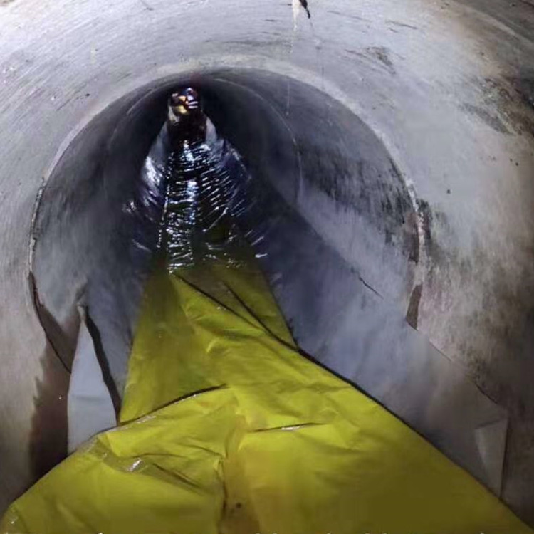 芦淞管道光固化修复